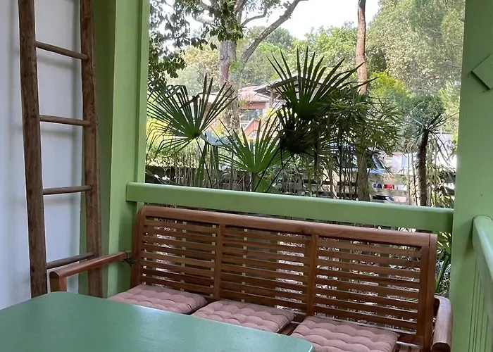 Διαμέρισμα Les Mimosas *