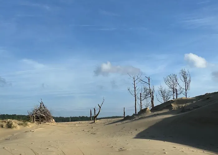 Les Mimosas * Αρασόν