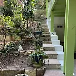 Les Mimosas