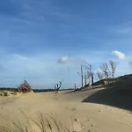 Les Mimosas * Arcachon