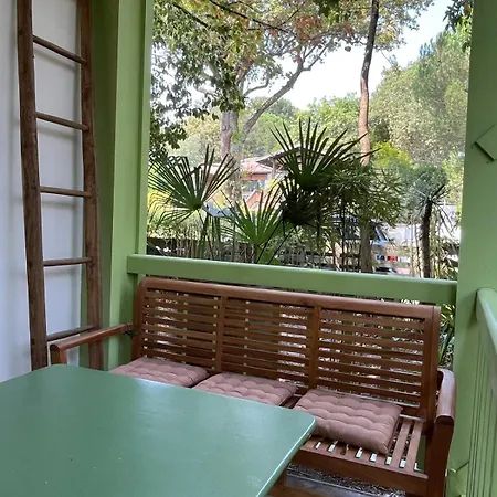 公寓 Les Mimosas *