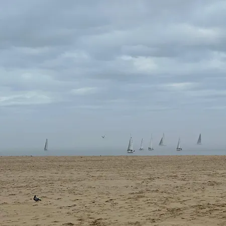 Les Mimosas Appartement Arcachon