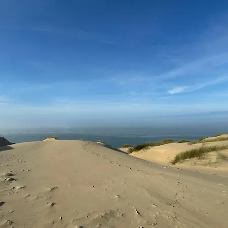 Les Mimosas * Arcachon