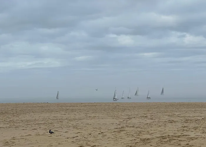 Les Mimosas Apartment Arcachon