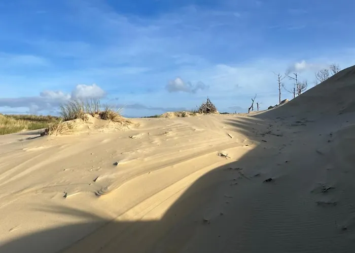 Apartament Les Mimosas *