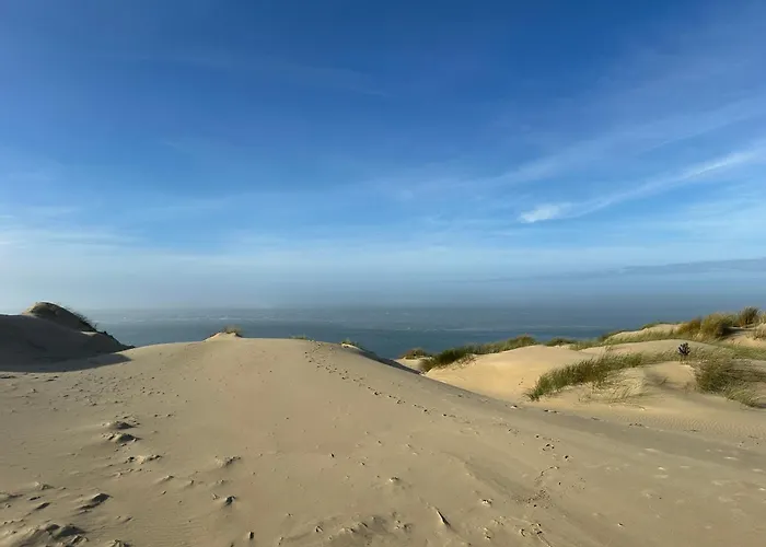 Les Mimosas * Arcachon