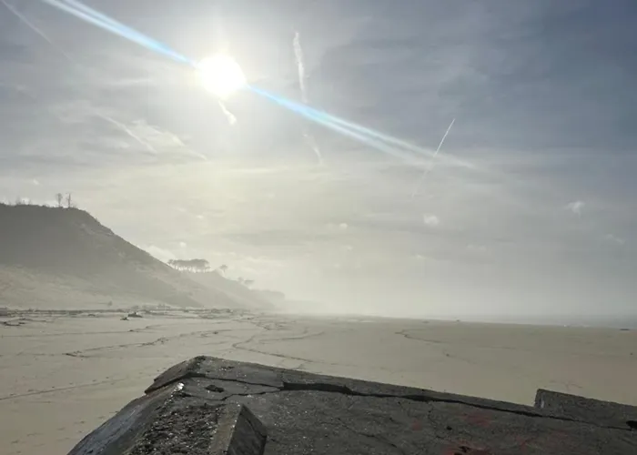 Les Mimosas Arcachon