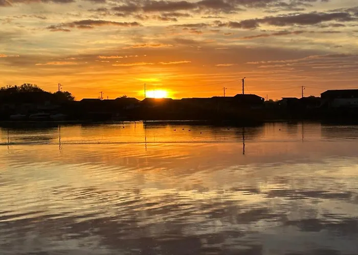 Les Mimosas Apartment Arcachon