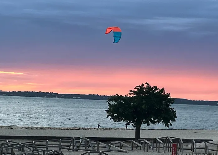 Les Mimosas Apartment Arcachon